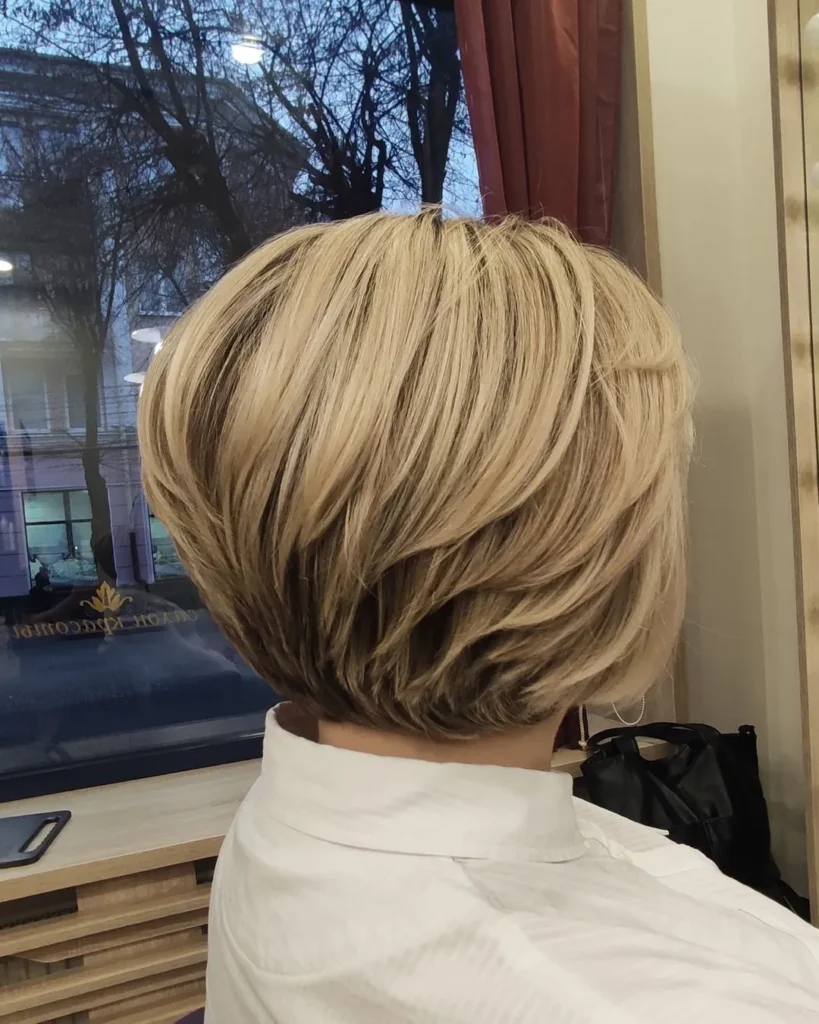 Pixie Bob mit Stufen
