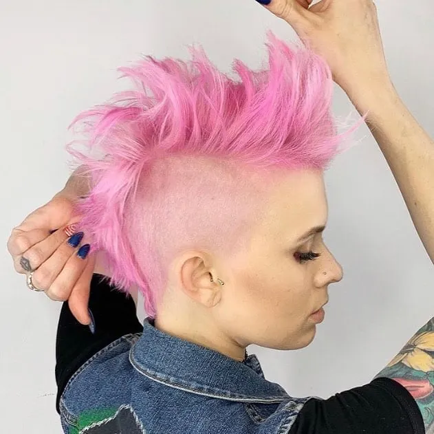 Rosa Pixie-Hawk