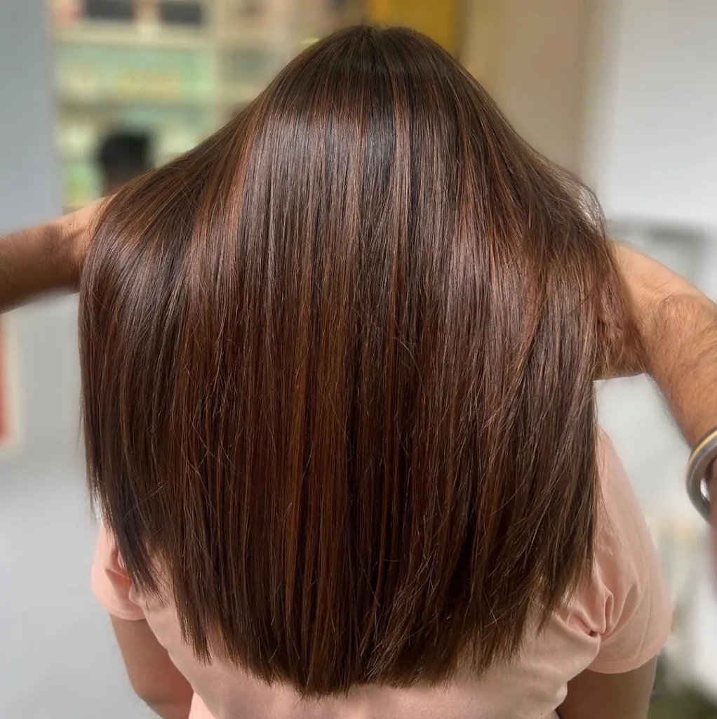 Kastanienbraunes Haar mit Highlights