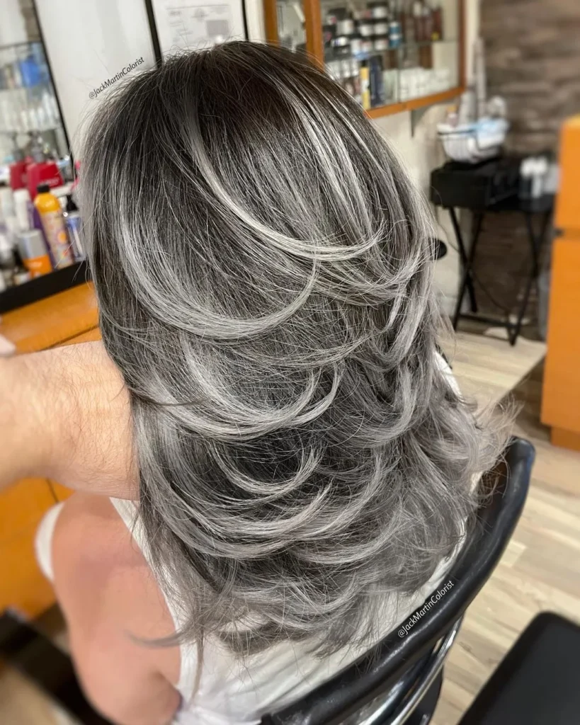 Silbernes Balayage Auf Schwarzem Haar